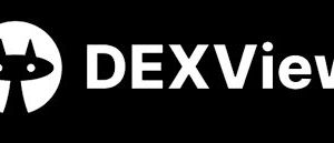 What is DexView Realtime Price Charts